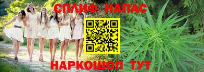 альфа пвп Новокубанск