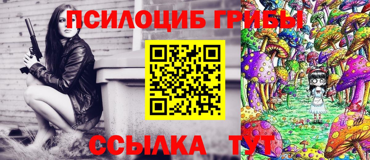 Псилоцибиновые грибы Psilocybe  Вход с VPN  Березники  Псилоцибиновые грибы Magic Shrooms 