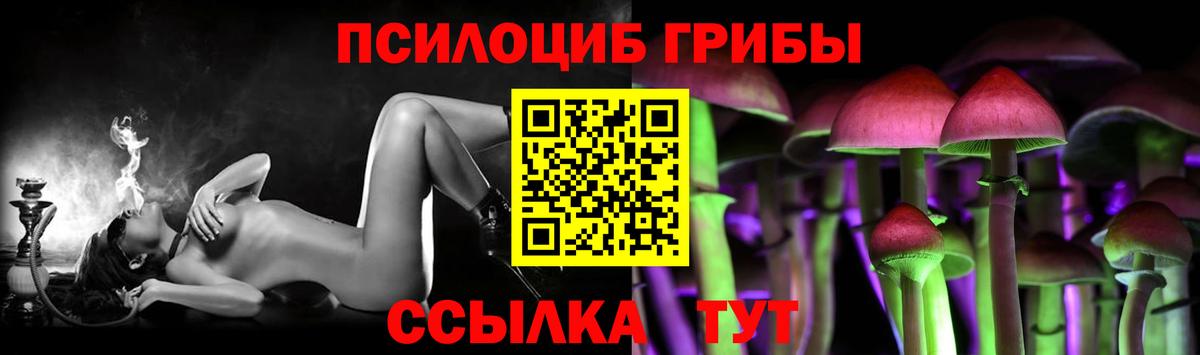 Псилоцибиновые грибы GOLDEN TEACHER Березники